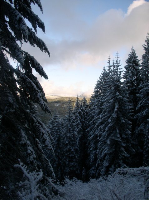 11.27.05 Nesmith Point 076 